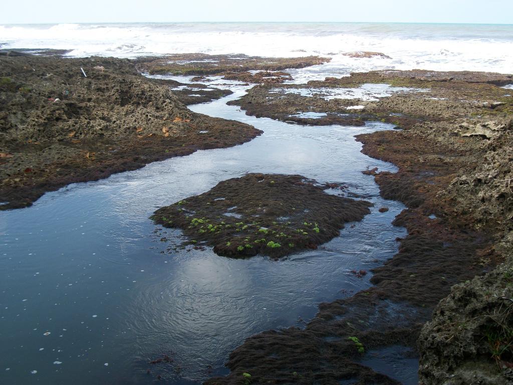 Piscina Natural On The Sea カウイータ エクステリア 写真