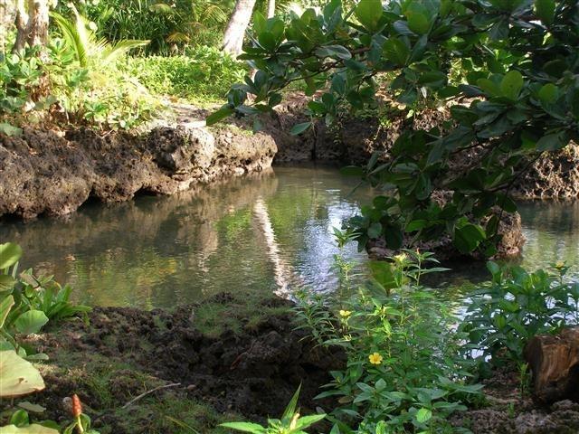 Piscina Natural On The Sea カウイータ エクステリア 写真