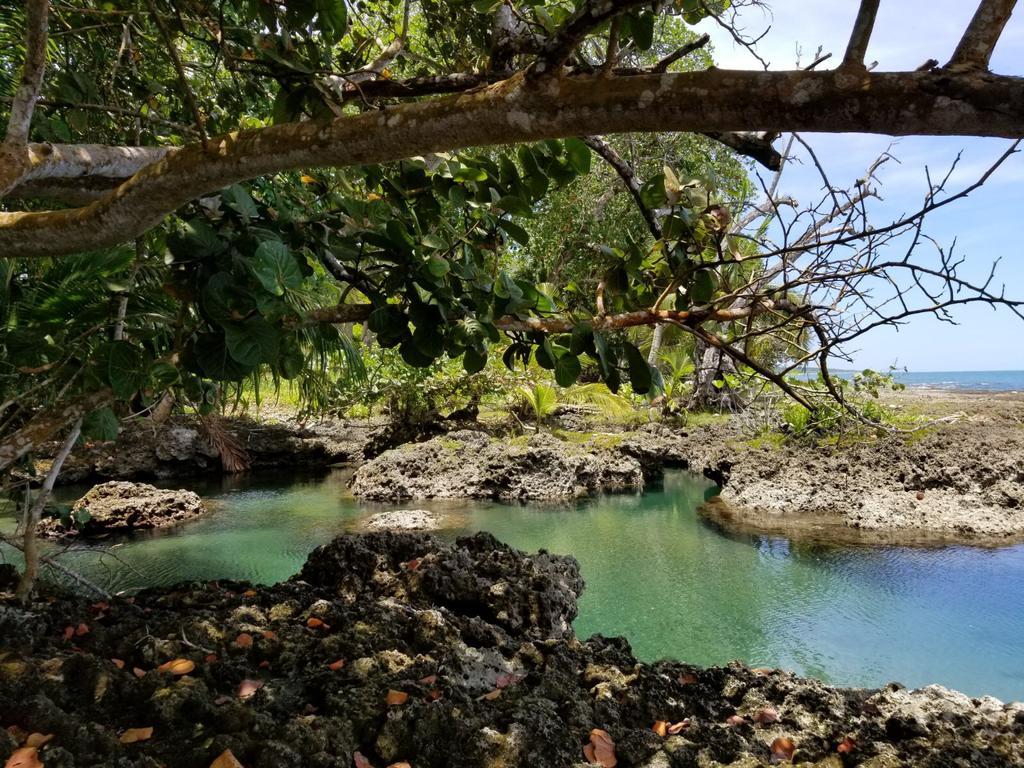 Piscina Natural On The Sea カウイータ エクステリア 写真