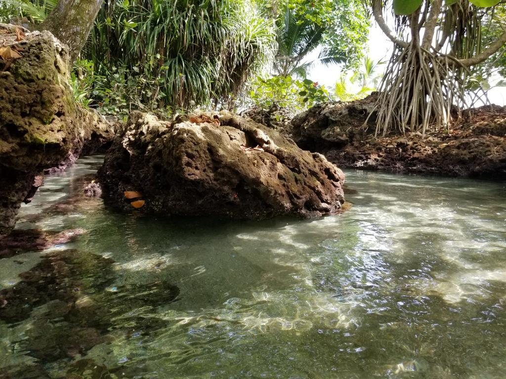 Piscina Natural On The Sea カウイータ エクステリア 写真
